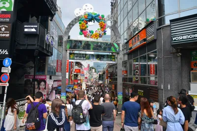 DSC_3583 (Large).JPG